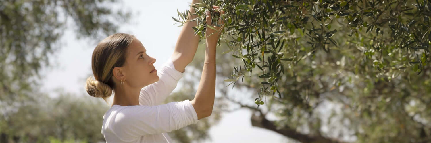 meet the founder | irene forte