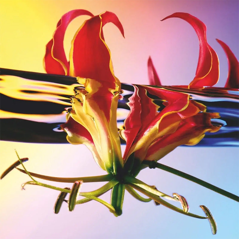 Annindriya Le Glossy Escape 50ml | RETREAT