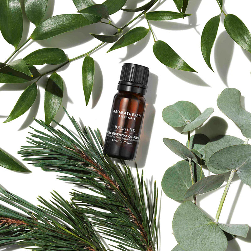 Breathe Pure Essential Oil Blend