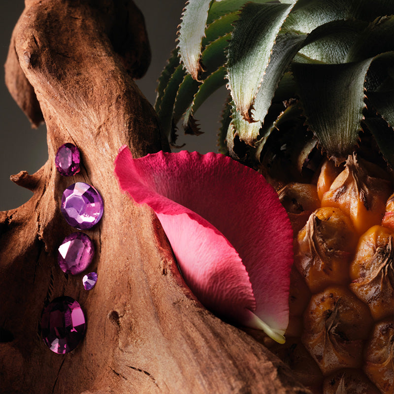 Oud Paradisio Absolu de Parfum