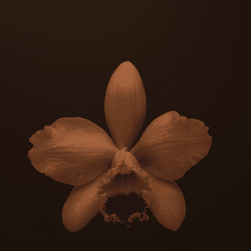 Vanille Caviar Eau de Parfum