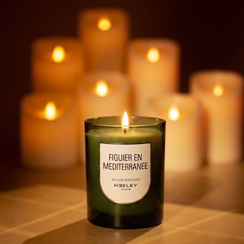 Bougie Figuier et Méditerranée