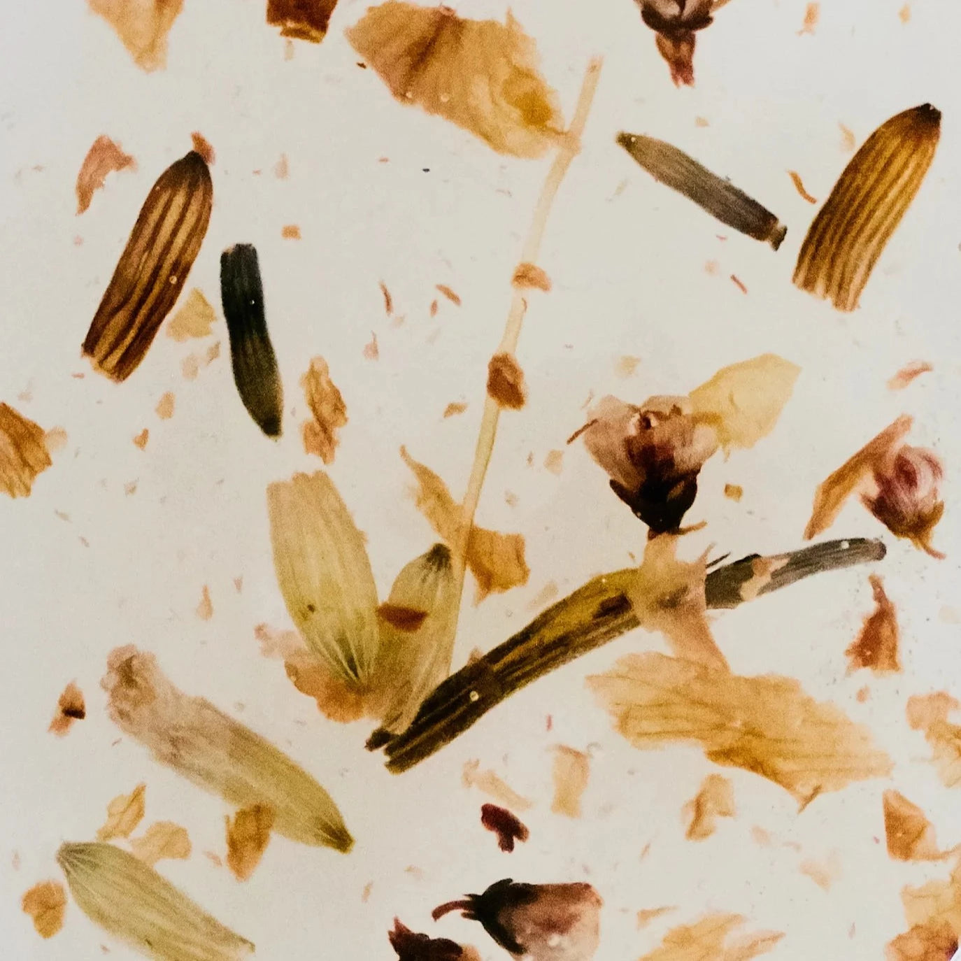 Licia Florio Flower Cuticle Oil 15ml NP_UE_EX_23_Treat 8050714200212 Make-up,Nagels,Nagelverzorging Licia Florio Cuticle Creams & Oil RETREAT