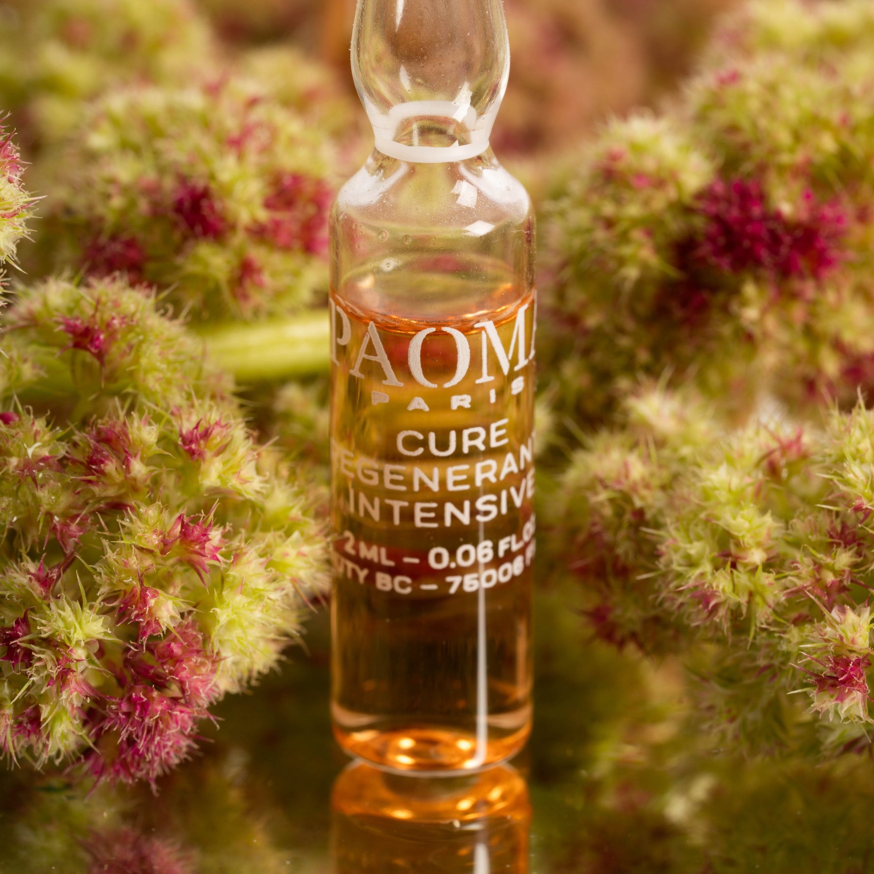 PAOMA 28 Days Intensive Anti-ageing Program 14x2ml PAO0012 3700214700679 Gezicht,Serum PAOMA Face Serums RETREAT