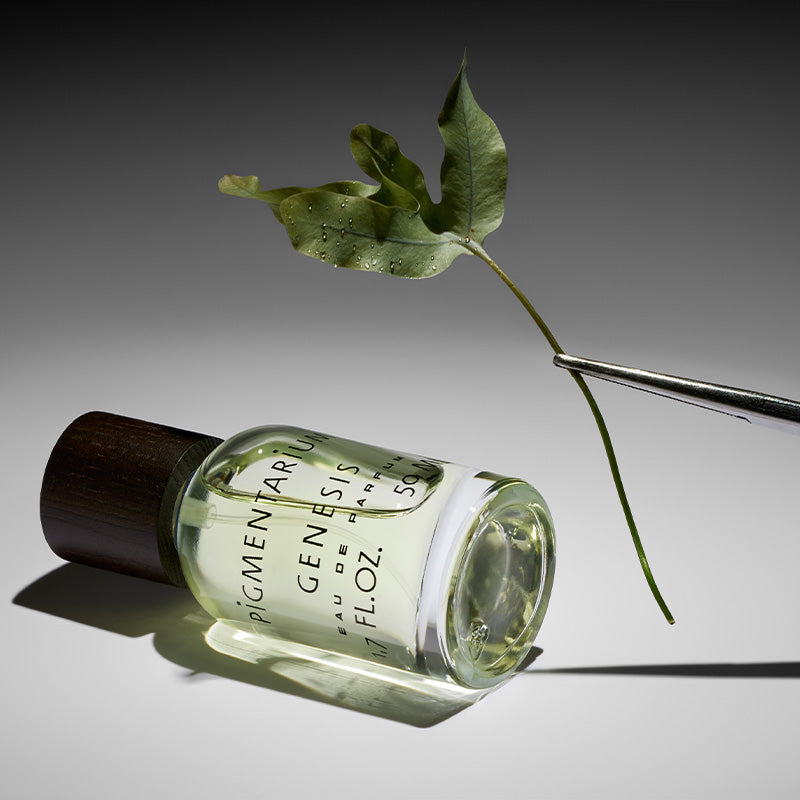 Genesis Eau de Parfum
