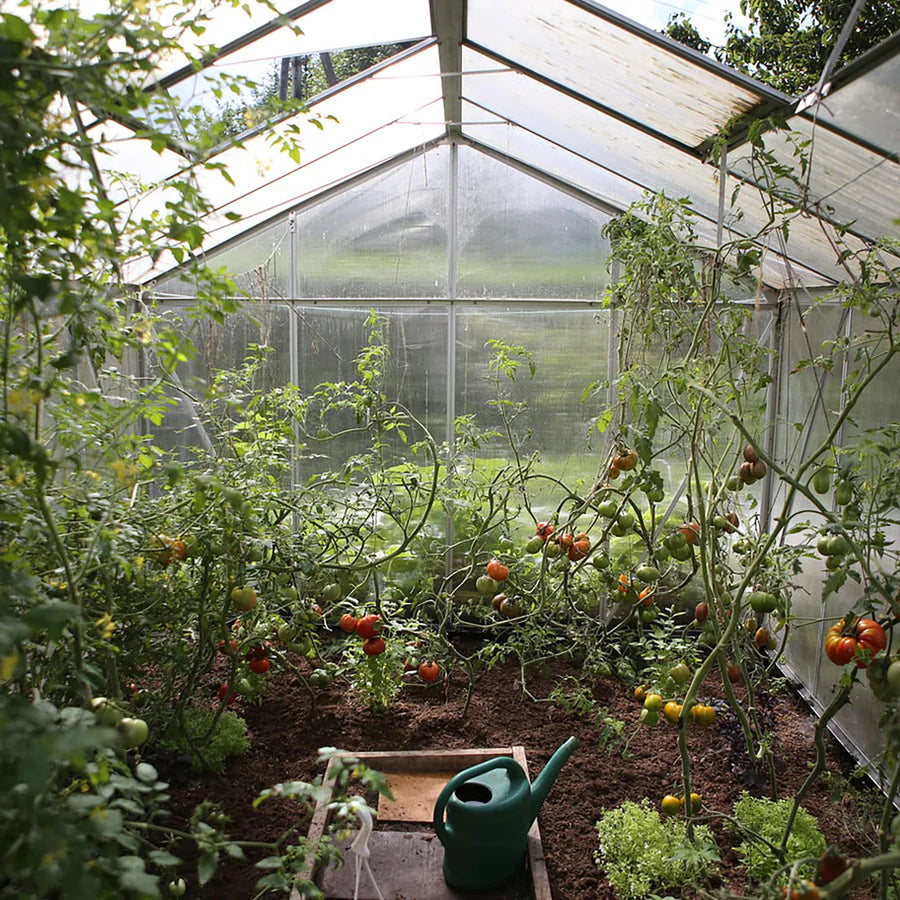 True Grace Walled Garden Vine Tomato Reed Refill 200ml SAG-RSR-V1-N0NN 875056000041 Categorie_Interieurparfum,Collectie_Burlington,Geurfamilie_spicy,Interieur,merk_True Grace True Grace Home & Garden RETREAT