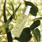 Rahua Aloe Vera Hair Gel 120ml